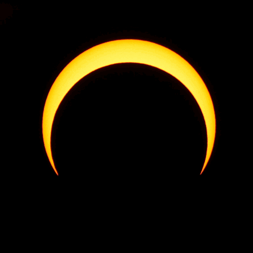 微信图片_20200702141722.gif